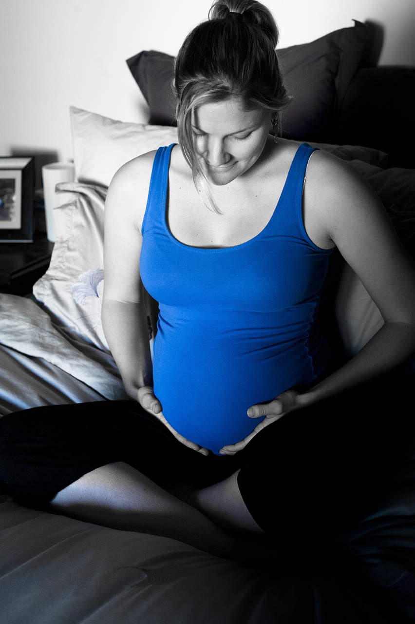 pregnant-1290403_1280 from pixabay